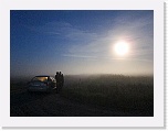4 Crex crex listening 0985 * 900 x 675 * (392KB)